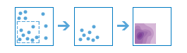 Calculate Density